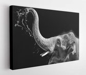 Modern olieverfschilderij van olifant gelukkig, kunstenaarscollectie van dierenschilderijen voor decoratie en interieur, canvaskunst, abstracte olifant op zwarte achtergrond, - Modern Art Can