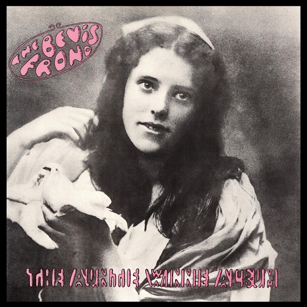 The Bevis Frond - The Auntie Winnie Album (2 CD) (Remastered)