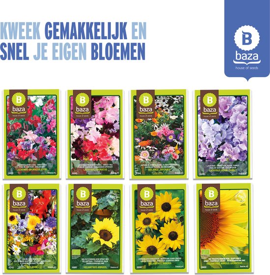 Complete set Bloemen zaden 8 soorten paars en geel voor Tuin of in Potten |  bol.com
