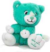 Turqoise Pluche Knuffel Kat (Give Me A Smile) 20 cm | Cat Plush Toy | Kat Peluche Knuffel | Knuffeldier voor kinderen | Extra lief en extra zacht