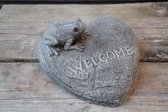 Welcome hart met kikker
