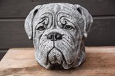 Borstbeeld Boxer, Bull Mastiff, Napolitano