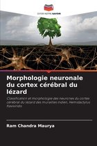 Morphologie neuronale du cortex cérébral du lézard