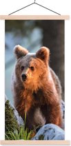 Affiche scolaire - Ours - Marron - Animal - 40x80 cm - Lattes vierges
