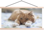 Porte-affiche avec affiche - Affiche scolaire - Chat - Lit - Couvre-lit - Filles - Enfants - Garçons - Enfant - 150x75 cm - Lattes blanches