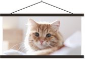 Affiche scolaire - Chat - Rouge - Lit - 150x75 cm - Lattes noires
