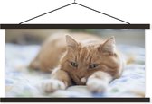 Posterhanger incl. Poster 120x60 cm - Schoolplaat - Kat - Bed - Bedsprei - Meisjes - Kinderen - Jongens - Kind - Textielposter - Zwarte latten