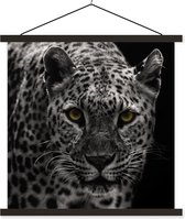 Porte-affiche avec affiche - Affiche scolaire - Léopard - Zwart - Wit - 60x60 cm - Lattes noires