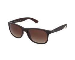 Ray-Ban RB4202 607313 - Andy - zonnebril - Bruin / Bruin Gradiënt - 55mm