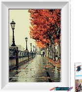 Artstudioclub®  Diamond painting volwassenen 30*40cm  stad