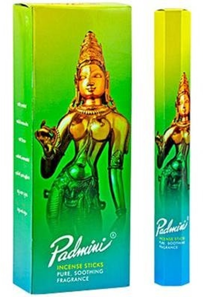 Padmini hexa wierook - bloemige geur - wierookstokjes - india wierook - doos 6 stuks - hexa - 6x 20 stokjes