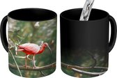 Magische Mok - Foto op Warmte Mok - Vogel - Ibis - Rood - 350 ML