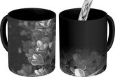 Magische Mok - Foto op Warmte Mok - Close up van groene Buxusblaadjes - zwart wit - 350 ML