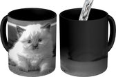 Magische Mok - Foto op Warmte Mok - Kitten in een bed - zwart wit - 350 ML