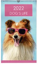 Maand Kalender - Honden - 2022 - Spiraalgebonden - 39x22,5cm