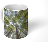 Mok - Het Redwoodbos bij Whakarewarewa in Nieuw-Zeeland - 350 ML - Beker