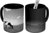Magische Mok - Foto op Warmte Mok - Grazende koeien in een weiland - zwart wit - 350 ML
