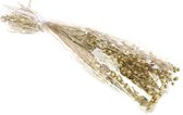 Droogbloemen boeket - goud alsi gras - kerstbloemen mooie kerstversiering feestdagen - 66 cm