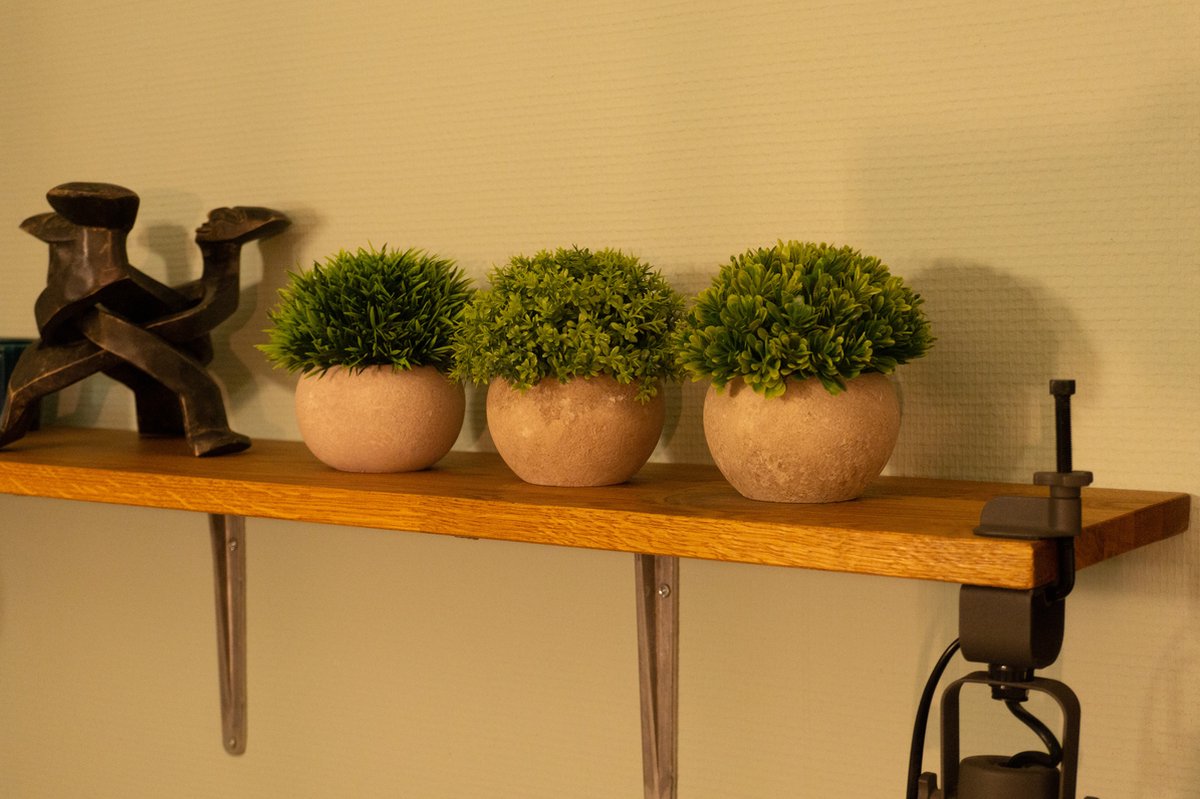 Kleine Kunstplanten - Mini plantjes, Cactussen & Vetplanten