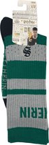 Harry Potter Embroidered Mesh Slytherin Socks