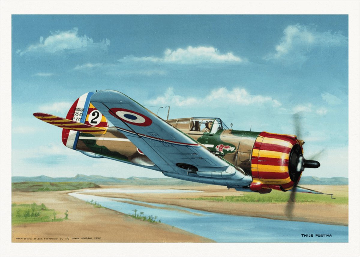 TP Aviation Art Thijs Postma - TP Aviation Art - Poster - Franse Curtiss P-36 Boven Senegal - 50x70cm Kleur