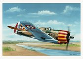 Thijs Postma - TP Aviation Art - Poster - Franse Curtiss P-36 Boven Senegal - 50x70cm