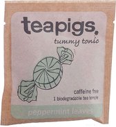teapigs Peppermint Leaves - Box of 50 Tea Bags in envelopes
