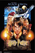Grupo Erik Harry Potter and the Sorcerers Stone  Poster - 61x91,5cm