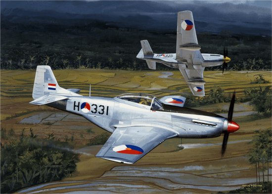 Thijs Postma - TP Aviation Art - Poster - North American P-51D Mustangs Indonesië – 50x70cm