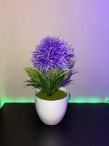 Paarse Kunstmatige Decoratie Plant