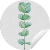 Garden Circle Aquarelle - Eucalyptus - Plante - 90x90 cm - Affiche de Jardin Ronde - Extérieur