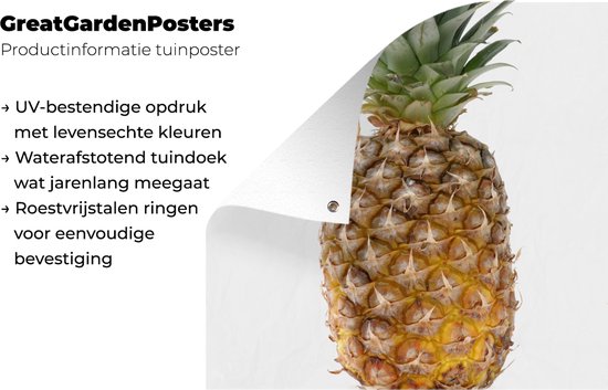 Serviette de jardin Ananas - Fruit - Wit - 100x100 cm