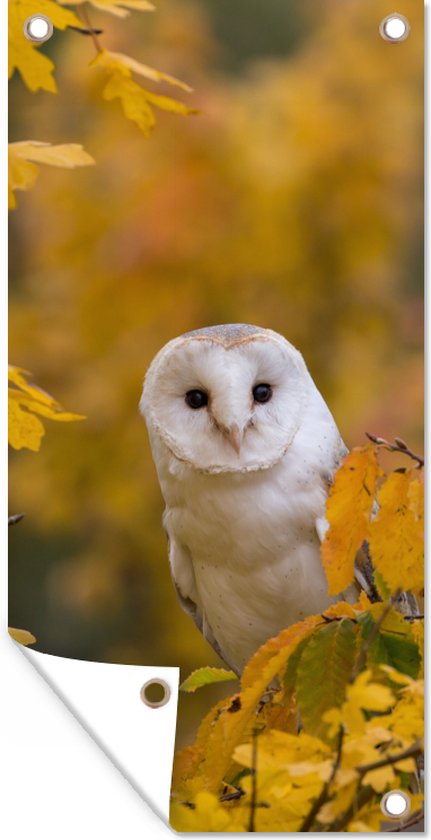 Tuinposter Vogel - Uil - Herfst - 40x80 cm - Wanddecoratie Buiten - Tuinposter - Tuindoek - Schuttingposter - Tuinschilderij