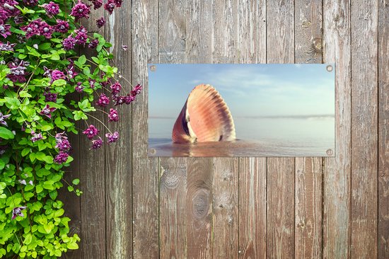 Poster de jardin Coquillage - Plage - Mer - 60x30 cm - Toile de jardin - Poster extérieur