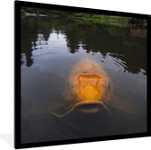 Cadre photo avec affiche - Une carpe koi géante dans l'eau - 40x40 cm - Cadre pour affiche