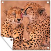 Tuinposters Baby cheeta's - 50x50 cm - Tuindoek - Buitenposter