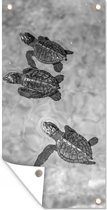 Tuinposter Schildpadden zwart-wit foto - 40x80 cm - Wanddecoratie Buiten - Tuinposter - Tuindoek - Schuttingposter - Tuinschilderij