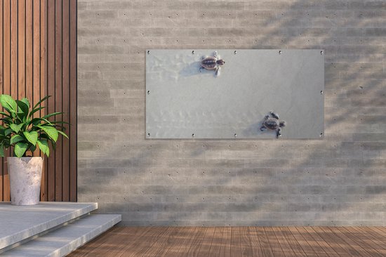 Décoration murale d'extérieur Deux tortues - 160x80 cm - Toile de jardin - Poster extérieur