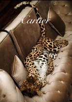 Luxe Wanddecoratie - Fotokunst Fashion Panther - Hoogste kwaliteit 3mm. Plexiglas met 3mm. Dibond - Blind Aluminium Ophangsysteem - Akoestisch en UV Werend - inclusief verzending