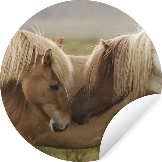 Covalliero Kerbl Dressuurgerte – Bruin, 110 Cm – Leren Handvat & Glasvezel Voor Paardensport