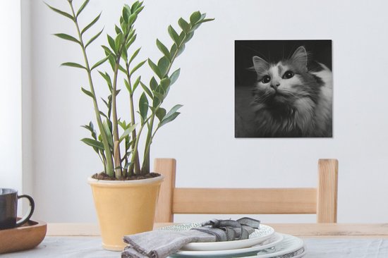 Tableau sur toile Profil animal chat en noir et blanc - 20x20 cm - Décoration murale