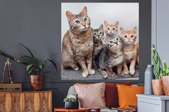 Stickers muraux - Chat - Chatons - Fourrure - 120x120 cm - Feuille adhésive XXL