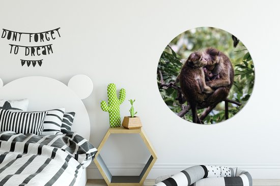 Famille de singes sur une branche Sticker mural cercle mural 100x100 cm / cercle de papier peint / cercle mural / cercle vivant - autocollant et coupe ronde