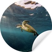 WallCircle - Muurstickers - Behangcirkel - Schildpad in helder water - 50x50 cm - Muurcirkel - Zelfklevend - Ronde Behangsticker