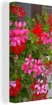 Canvas Schilderij Geranium bloemen in de tuin - 20x40 cm - Wanddecoratie