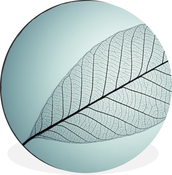 WallCircle - Wandcirkel - Muurcirkel - Beeld van een bladskelet van botanisch blad op de achtergrond met de kleur cyaan - Aluminium - Dibond - ⌀ 60 cm - Binnen en Buiten