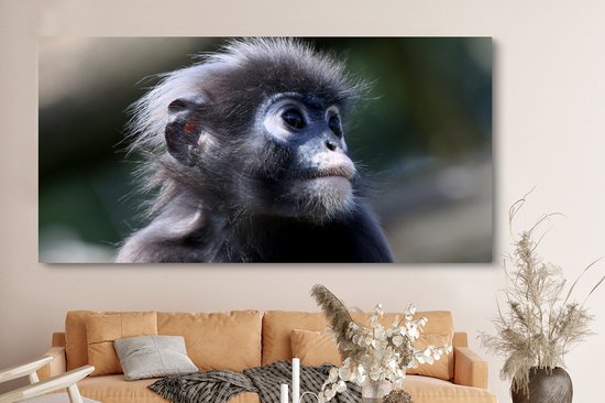Canvas schilderij 160x80 cm - Wanddecoratie Apen - Dieren - Natuur - Muurdecoratie woonkamer - Slaapkamer decoratie - Kamer accessoires - Schilderijen