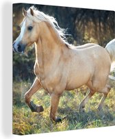 Canvas Schilderij Paard - Natuur - Bruin - 90x90 cm - Wanddecoratie
