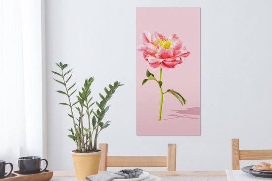 Tableau Toile Pivoine rose sur fond rose - 40x80 cm - Décoration murale