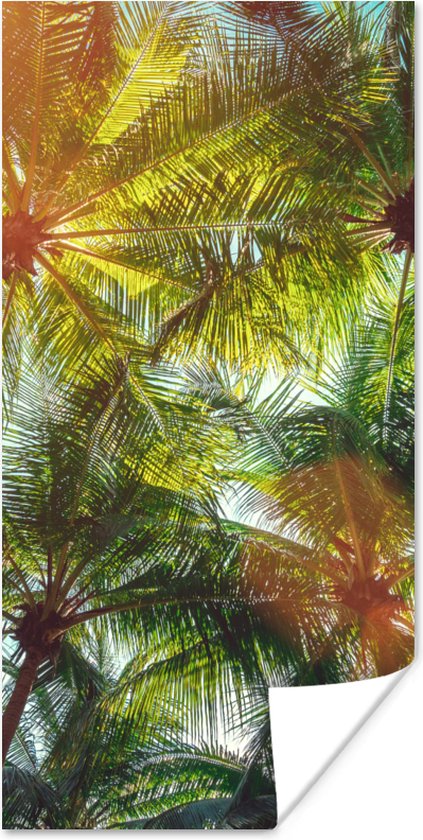 Poster Bladeren - Palm - Zon - 60x120 cm